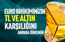 Euro birikiminizin TL ve Altın karşılığı