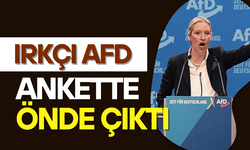 Irkçı AfD yeni yılın ilk anketinde önde