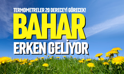 Almanya’ya bahar erken geliyor