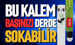 Bu kalem başınızı derde sokabilir