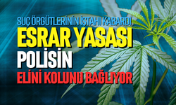 ‘Esrar yasası polisin elini kolunu bağlıyor’