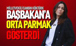 Başbakan’a orta parmak gösterdi