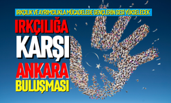 Irkçılığa karşı Ankara buluşması