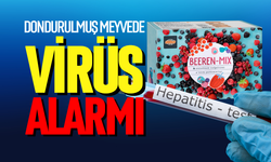 Dondurulmuş meyvede virüs alarmı