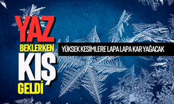 Yaz beklerken kış geldi