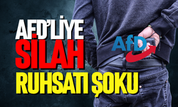 AfD üyelerine silah ruhsatı şoku
