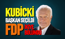 Başkanlık seçimi FDP'yi böldü