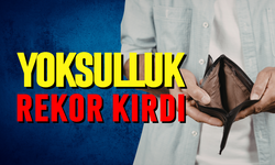 Almanya'da yoksulluk rekor kırdı
