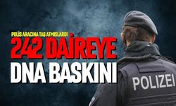 242 daireye DNA baskını