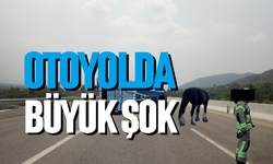 Otoyolda büyük şok