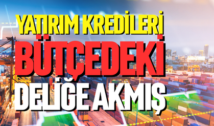 Yatırım kredileri bütçedeki deliğe akmış
