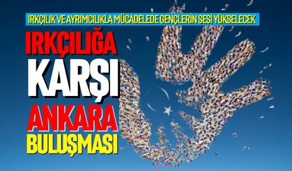 Irkçılığa karşı Ankara buluşması