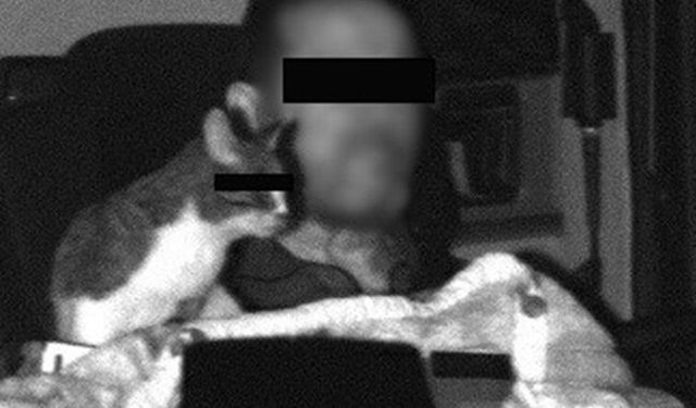 Torpidodaki kedi yük sayıldı