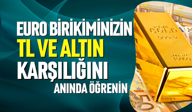 Euro birikiminizin TL ve Altın karşılığı