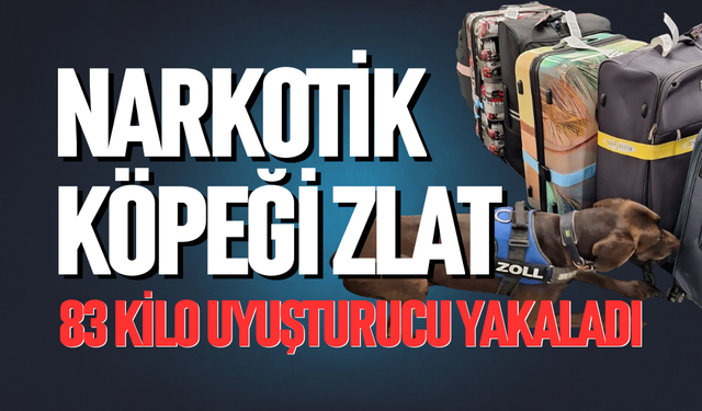 Narkotik köpeği Zlat'ın büyük başarısı