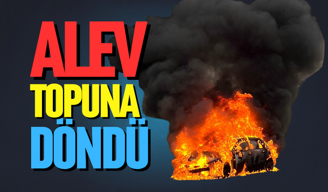 Otoyolda alev topuna döndü
