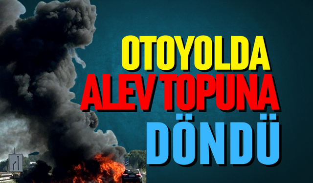 Otoyolda alev topuna döndü