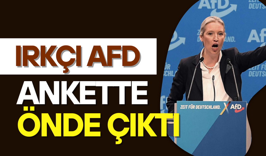 Irkçı AfD yeni yılın ilk anketinde önde