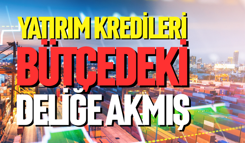 Yatırım kredileri bütçedeki deliğe akmış