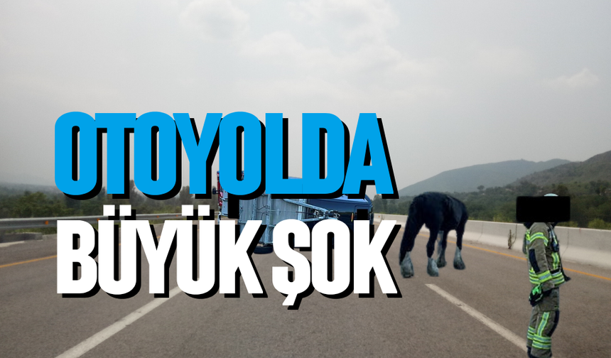 Otoyolda büyük şok